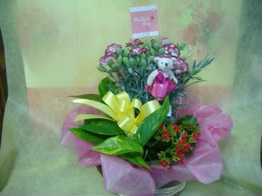 母の日アニマル寄せ植え・・5月9日(日)・・｜「フローリストはなしん」　（愛知県一宮市の花キューピット加盟店 花屋）のブログ