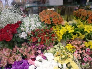 はなしん(当店)のお店は春爛漫です・・・｜「フローリストはなしん」　（愛知県一宮市の花キューピット加盟店 花屋）のブログ