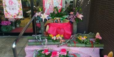 春が待ち遠しい気分でお店のディスプレイ(お雛様)しました・・２月１４日はバレンタインデー３月３日は｜「フローリストはなしん」　（愛知県一宮市の花キューピット加盟店 花屋）のブログ
