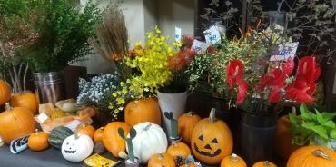 フローリストはなしんのお店の中のデイスプレィ　　10月はハロウイン。。。。｜「フローリストはなしん」　（愛知県一宮市の花キューピット加盟店 花屋）のブログ